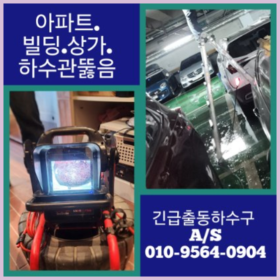 신진동변기역류