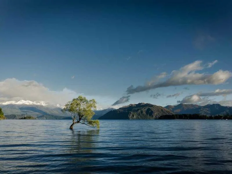 양평오수관막힘