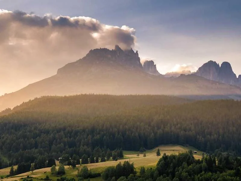 양평오수관막힘