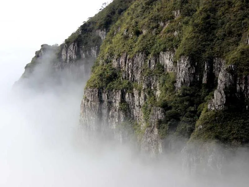 양평오수관막힘