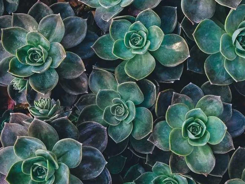 양평하수구막힘